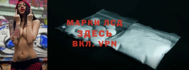 прущие грибы Арсеньев