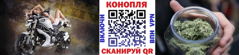Бошки марихуана Bruce Banner  Краснотурьинск 
